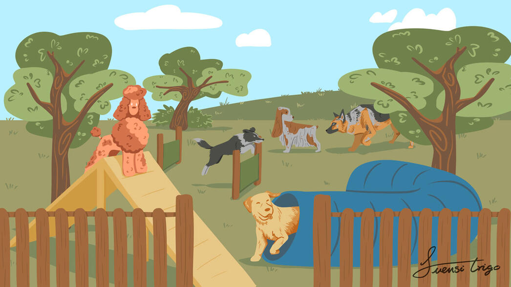 Reel animation mixed stop motion