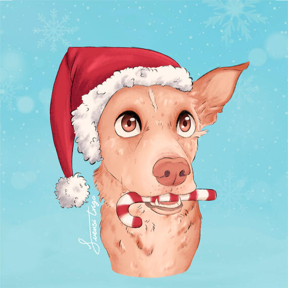 pet portrait christmas retrato animal perro navidad